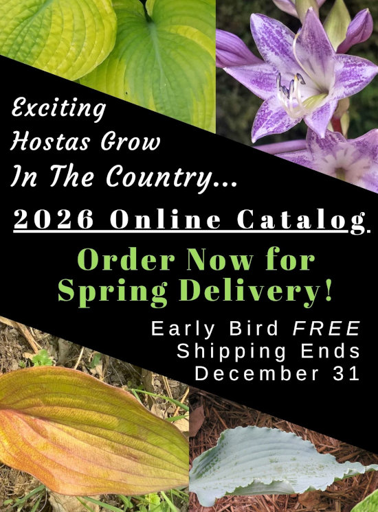2026 Catalog of Hostas & Companions - order now for spring shipping