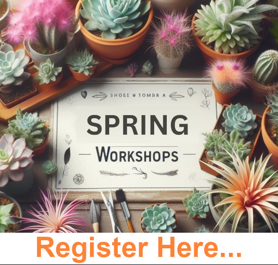 2024 Spring Workshops - Register Here
