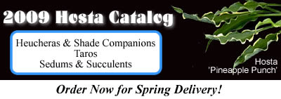 2009 Hosta Catalog