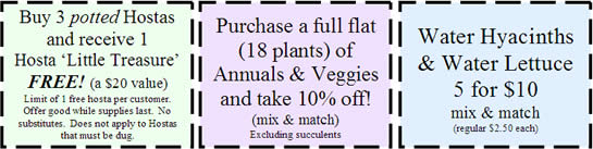 Clip these coupons for special Open House savings!