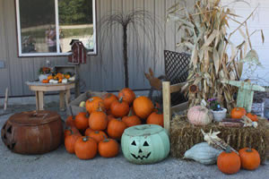Fall display at In The Country