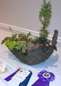 Winning trough garden at the Midwest Hosta Convention