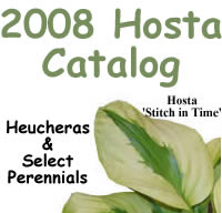 2008 Hosta Catalog