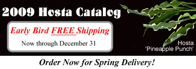 2009 Hosta Catalog