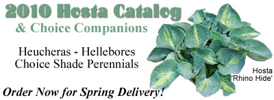 2010 Hosta Catalog