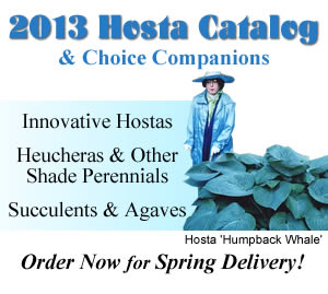 2013 Catalog of Hostas and Companion Plants