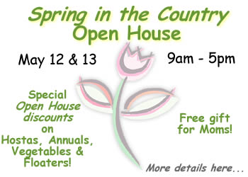 Spring Open House