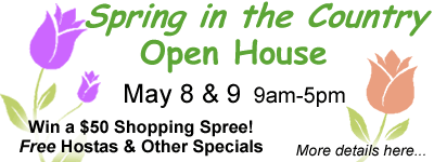 Spring Open House