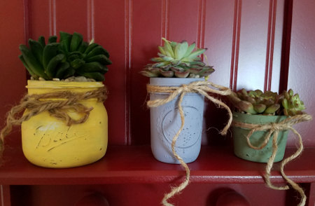 Vintage Succulent Jars Workshop