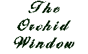 The Orchid Window