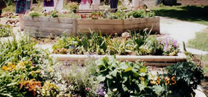 Raised bed of varying heights