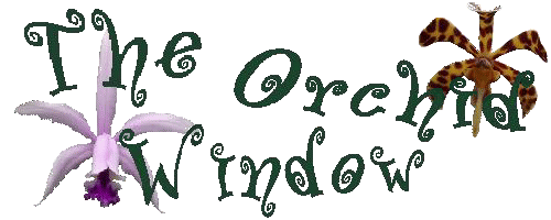 Orchid Window Logo