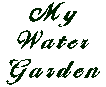 My Water Garden