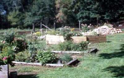 This picture was taken later that year after the water garden was installed.  All you can see is the mound of the waterfall, but you can still tell what a difference it makes in the appearance of that corner of the yard!