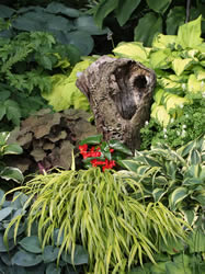 2009 Midwest Regional Hosta Convention