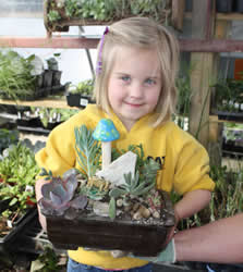 Succulent Workshop
