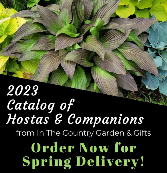 2023 Catalog of Hostas and Companions