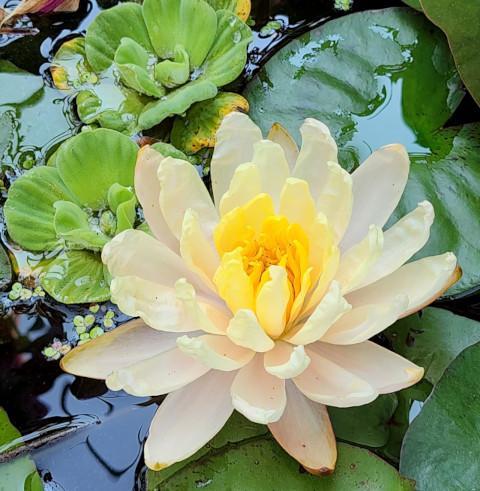 2024 1st Place Photo Contest Winner