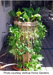 Phytopod