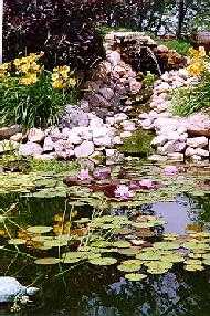Pond and waterfall.