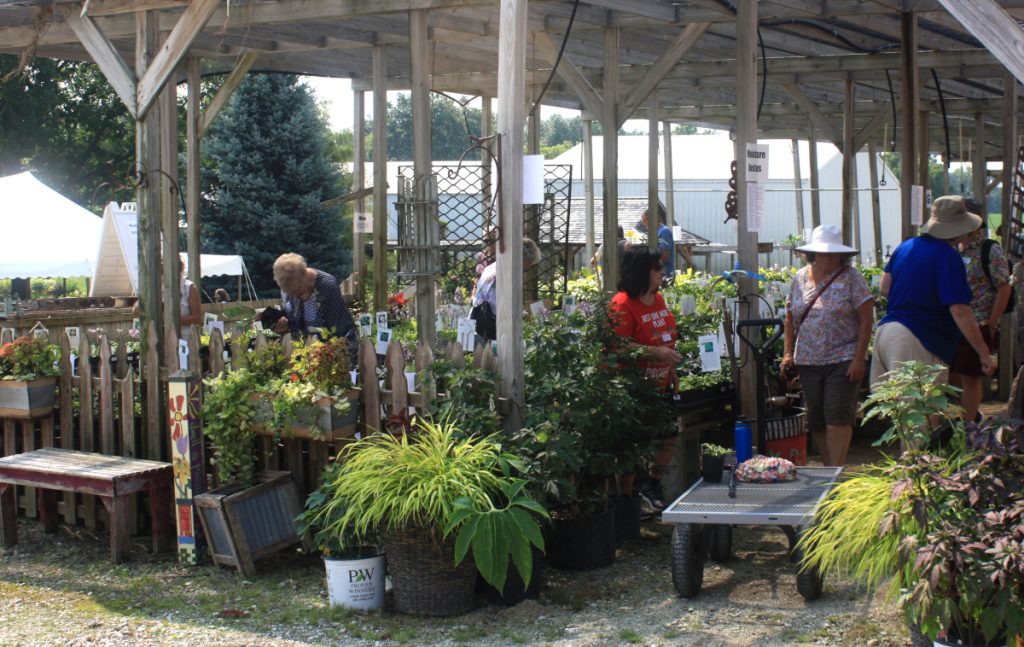 Hosta & Dessert Social 2024
