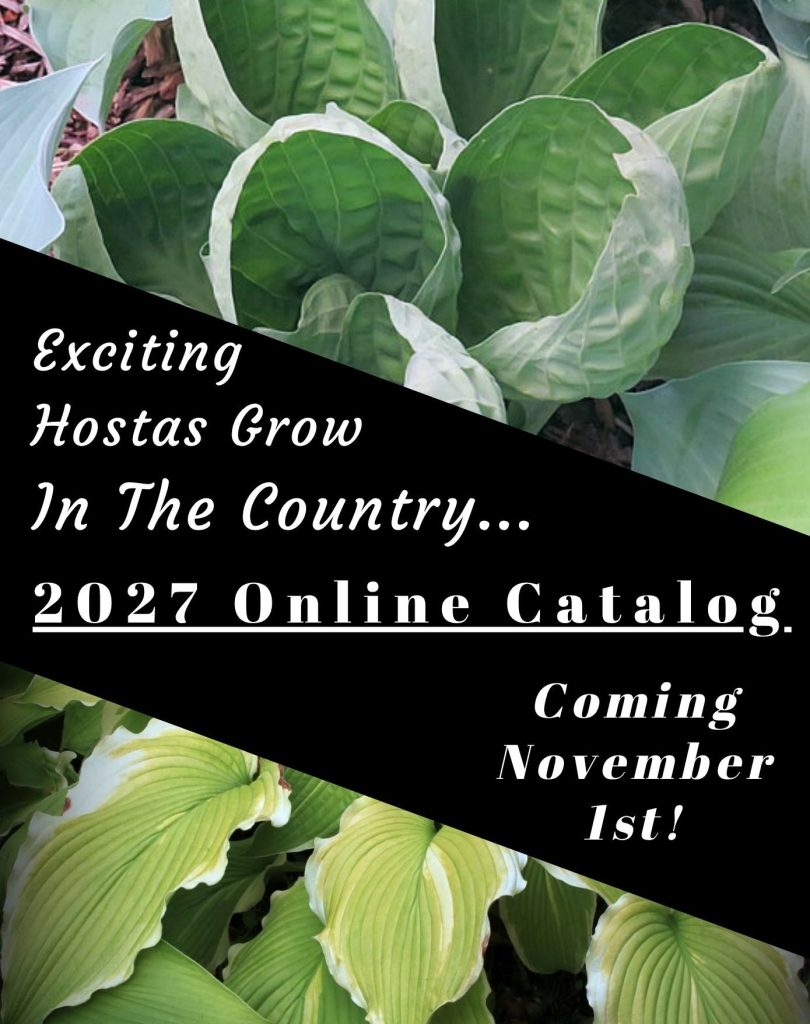2027 Online Catalog - Coming November 1st